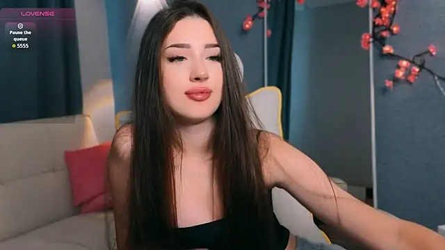 noonespyed webcam