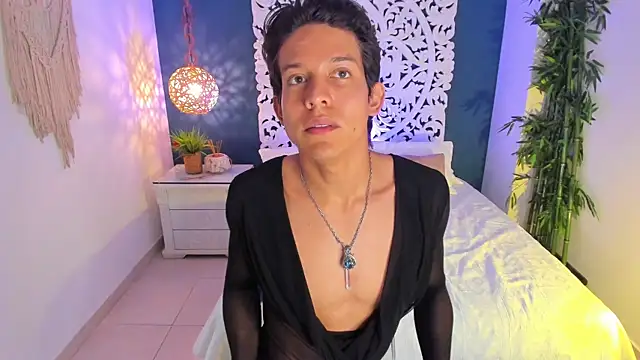 LevinFox webcam