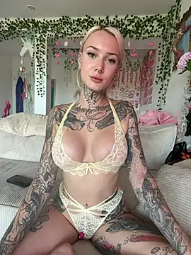 Stella-Kink webcam