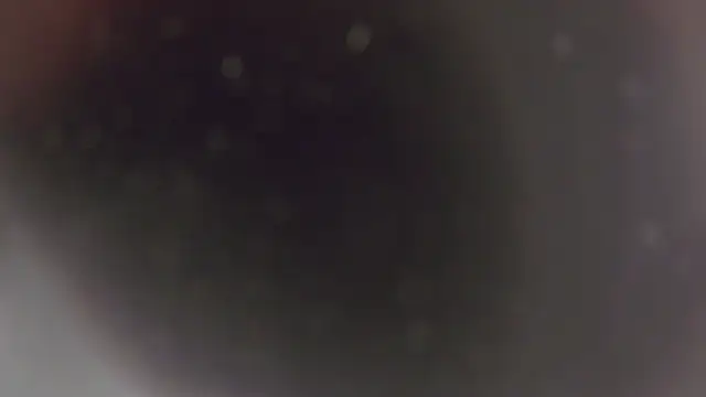 LisFowler webcam