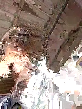ALLADIN_2589 webcam