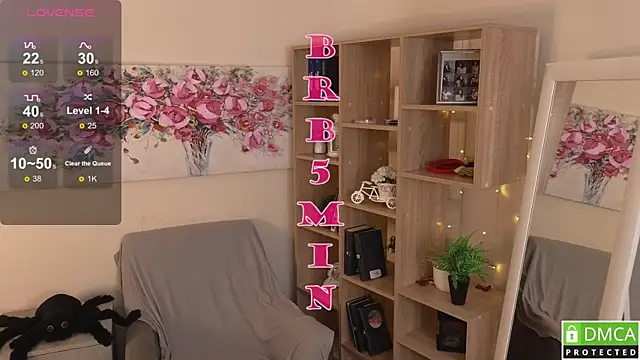 Sue_Sanders webcam