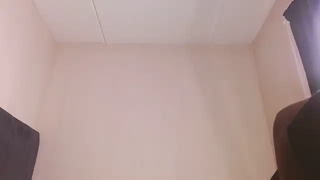 SoftRosee webcam