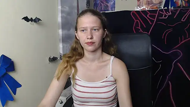 StellaCRL webcam