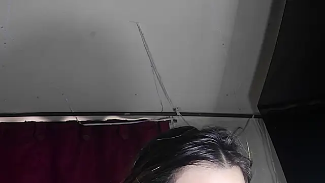 StarElii webcam