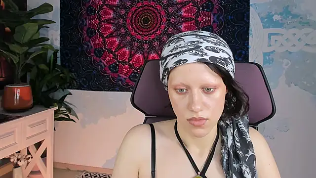 LidaDarknet webcam