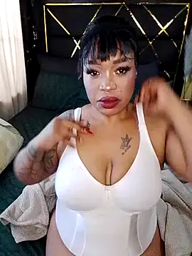 BINSA35 webcam
