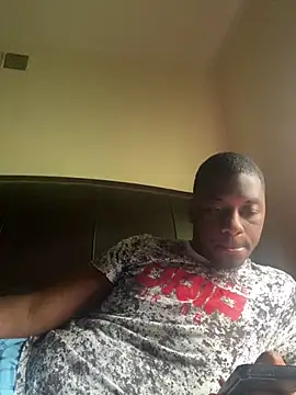 ThickDic28 webcam