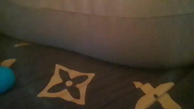 ShysluutGia webcam