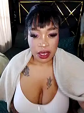 BINSA35 webcam