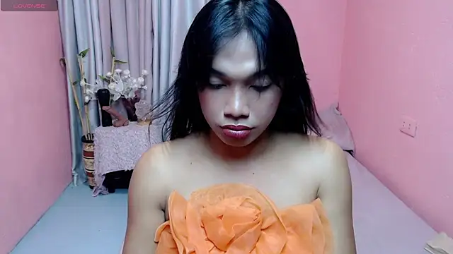 Herbielustts webcam