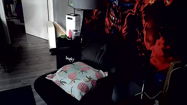 vantilt webcam