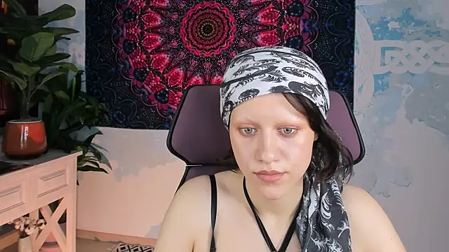 LidaDarknet webcam