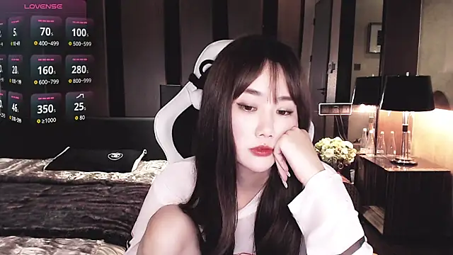 Aurora_-77 webcam