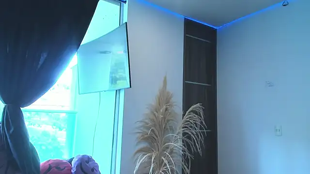 Dominiofit webcam
