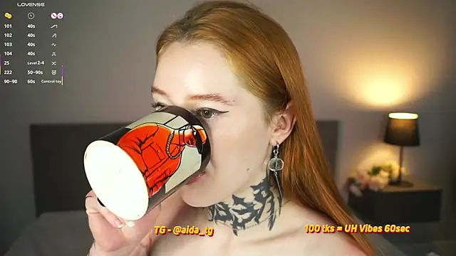 aidaha webcam