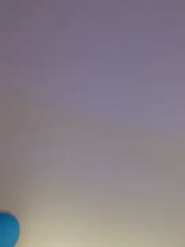 SergiaDIOR_TS webcam