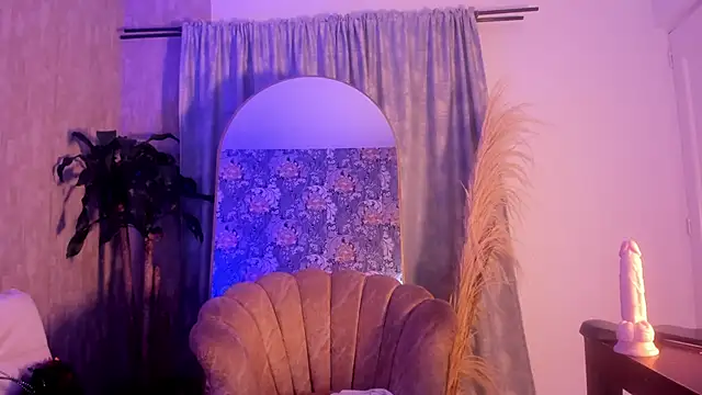 davis_saint webcam