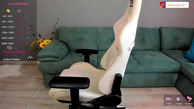 EveEvian webcam