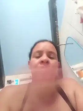 lapatronav2026 webcam