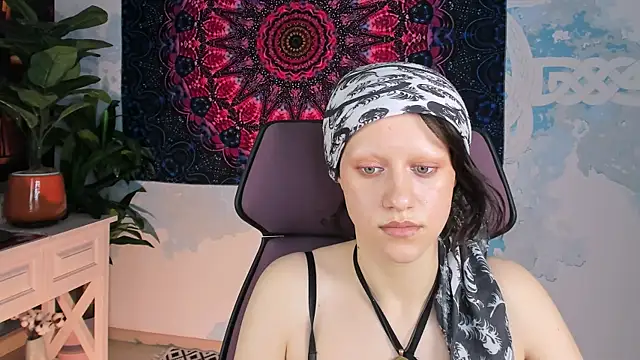 LidaDarknet webcam