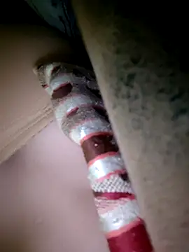 Watch Cute-Nitya_21 live on EroticFlix - High definition streams
