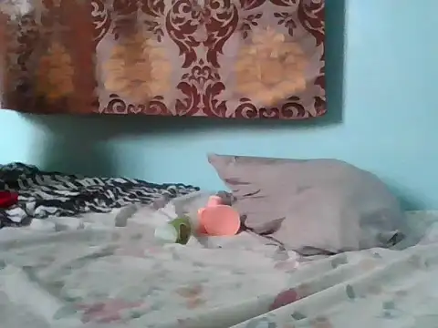 Desiredjep webcam