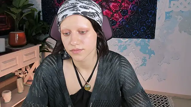 LidaDarknet webcam
