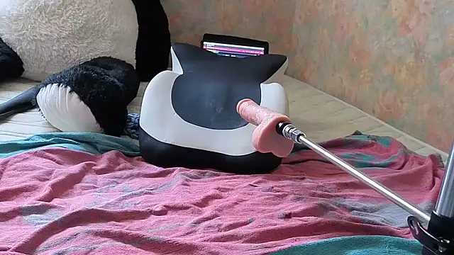 Dominalilirose
