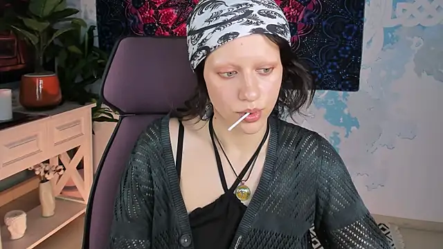 LidaDarknet webcam