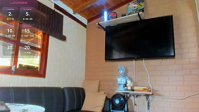 fitnolan webcam