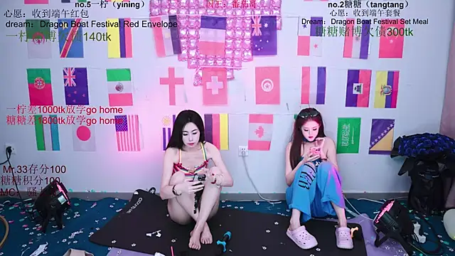 CCTW-100 webcam