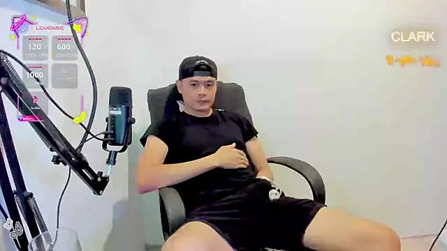 clarkdangerous webcam