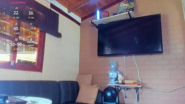 fitnolan webcam
