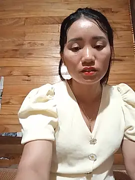 Td3di webcam