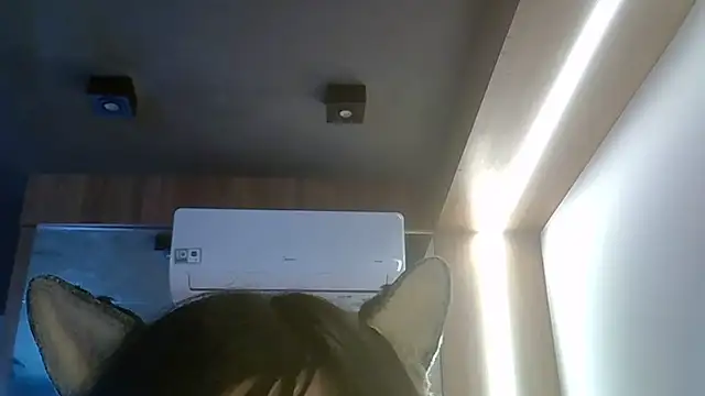 SkinnyKitten webcam