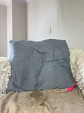 Samispank webcam