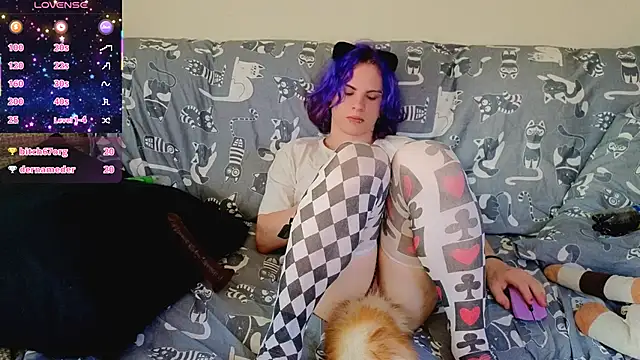 SparkyFerret webcam
