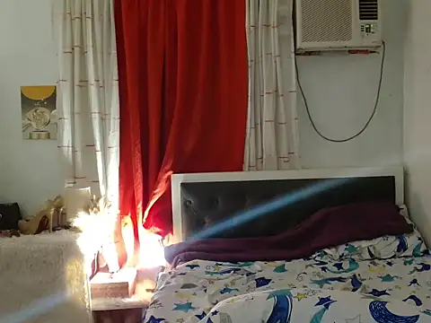 Sileves webcam
