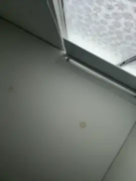 Saracalderon webcam