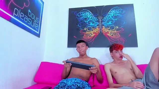 Thomy_hard webcam