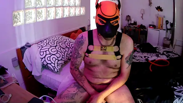 danix_wild_wolf webcam