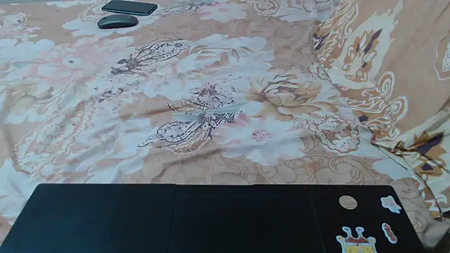Aronbbc webcam
