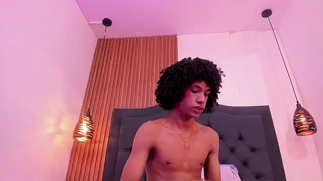 Johan_gz_ webcam