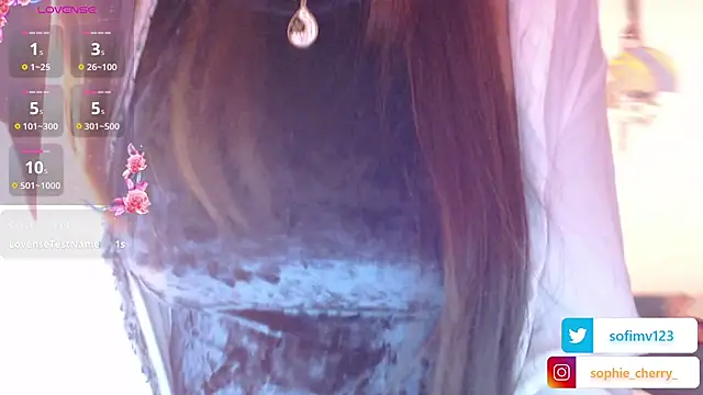 sofi_secrets webcam