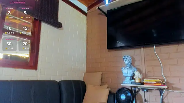 fitnolan webcam