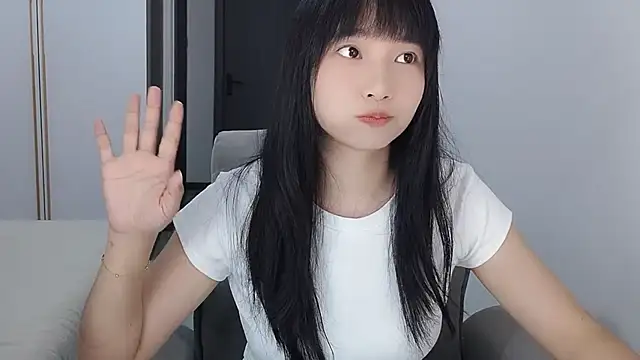 Lisa-3333 webcam