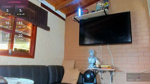 fitnolan webcam
