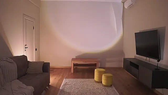 AdaBell webcam