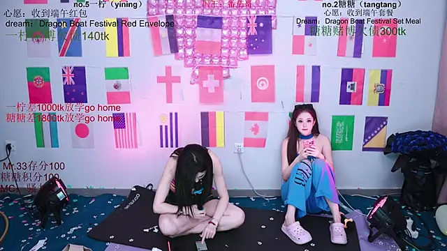 CCTW-100 webcam